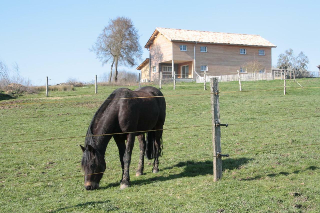 Le Petit Durbec Villa La Force  Eksteriør billede
